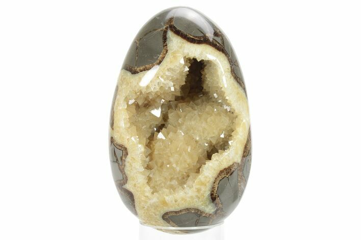 Calcite Crystal Filled Septarian Geode Egg - Utah #231076